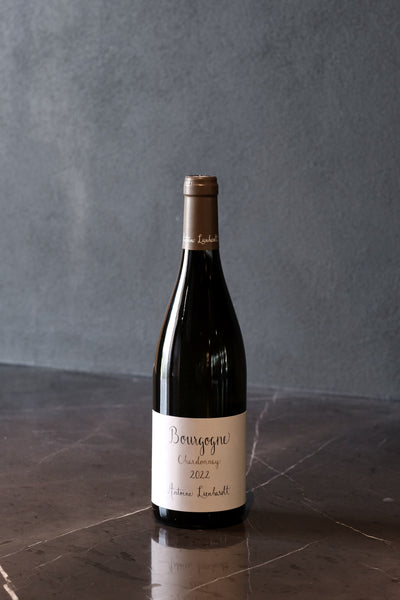 Antoine Lienhardt Bourgogne Blanc 2022
