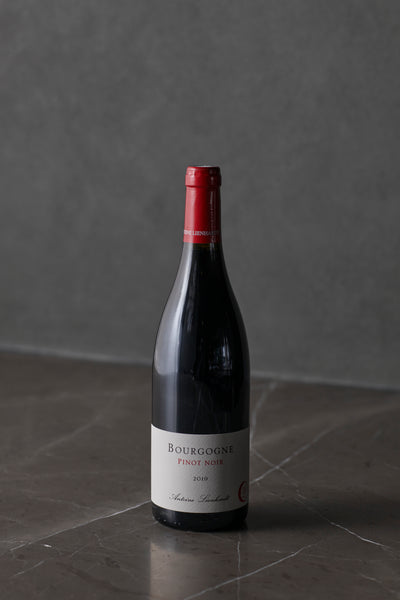 Antoine Lienhardt Bourgogne Rouge 2023