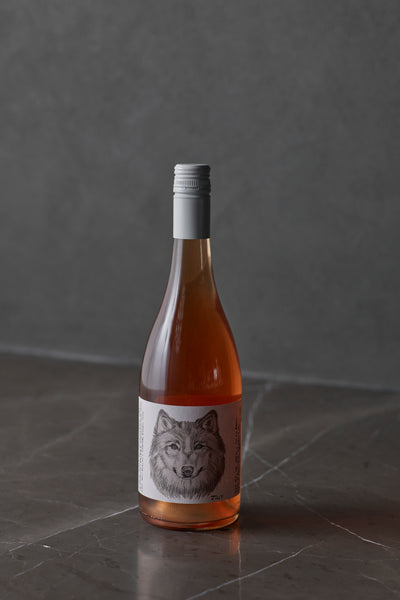 Jilly Wine Co. 'White Wolf of Cumbria' Rose 2025