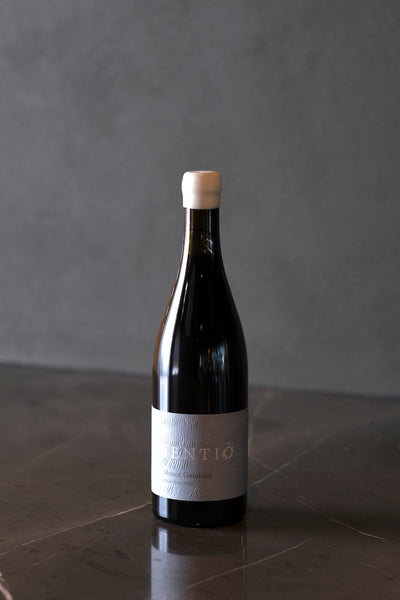 Sentiō 'Mount Gambier' Pinot Noir 2023