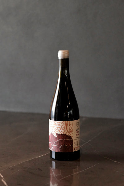 Future Perfect Shiraz 2024