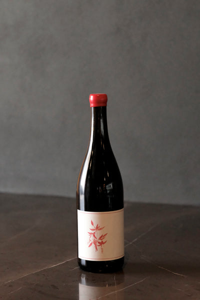 Arnot-Roberts 'Peter Martin Ray Vineyard' Pinot Noir 2023