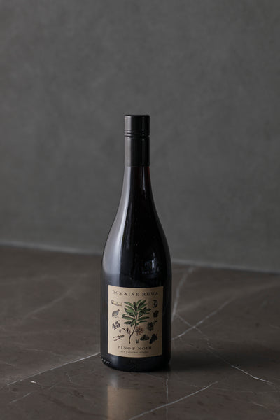 Domaine Rewa Pinot Noir 2016